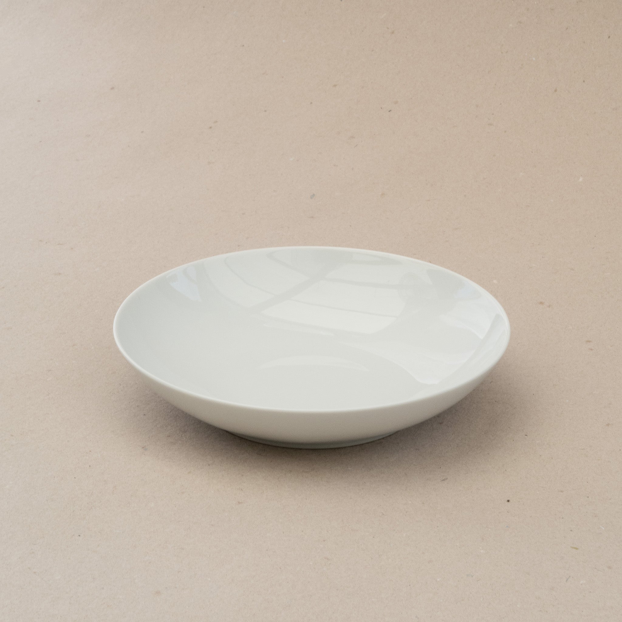 Shallow Deep Plate/24cm